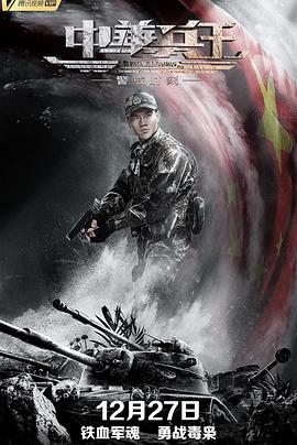 电影：中华兵王之警戒时刻