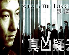 电影：真凶疑云