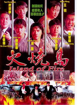 电影：火烧岛(1991)