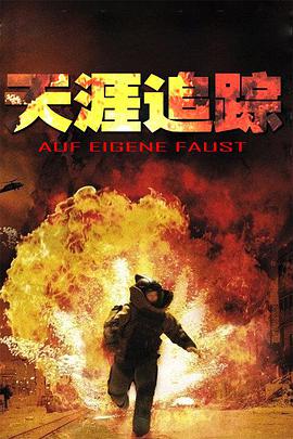 电影：天涯追踪