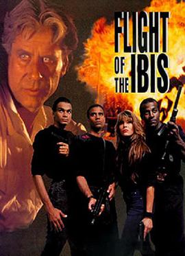 电影：无敌雄鹰