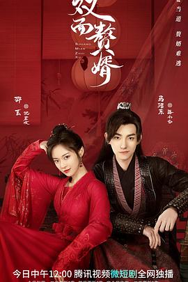 电影:双面赘婿第二季