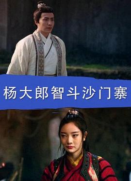电影:杨大郎智斗沙门寨