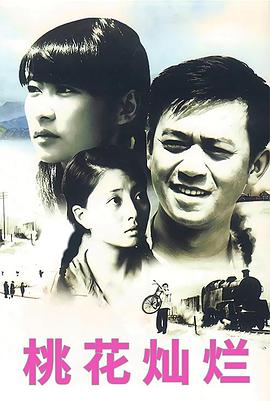 电影:桃花灿烂(2007)