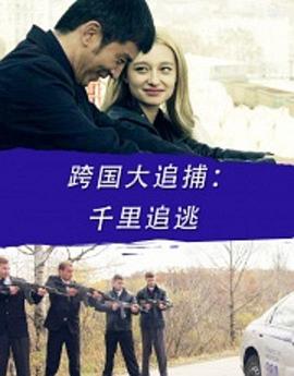 电影:跨国大追捕:千里追逃