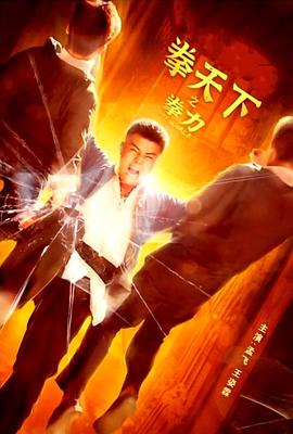 电影:拳天下之拳力