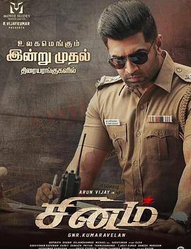 电影：愤怒的警官