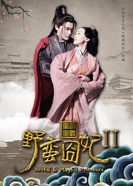 电影:野蛮囧妃2:迷雾重重