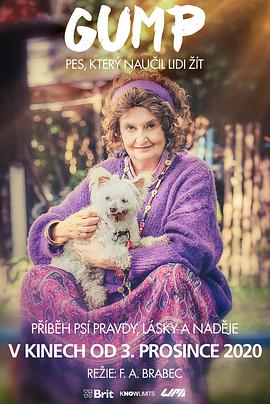 电影:流浪狗阿甘