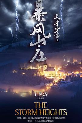 电影:天才少年之暴风山庄