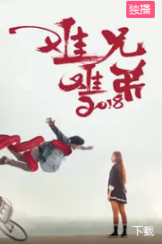 电影:难兄难弟2018