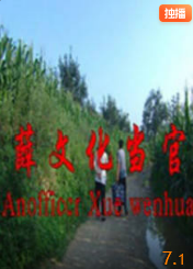 电影:薛文化当官记