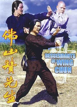 电影:佛山赞先生