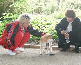 电影：难破MG5特别篇