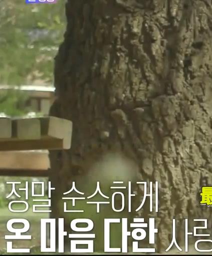 电影：再次初恋