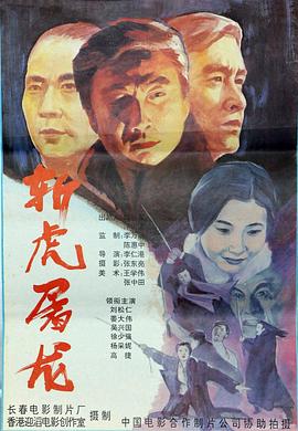 电影：94独臂刀之情