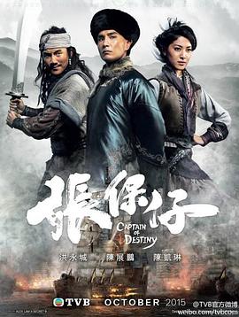 电影:张保仔国语