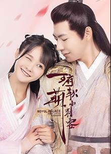 电影:王府软萌小刺客