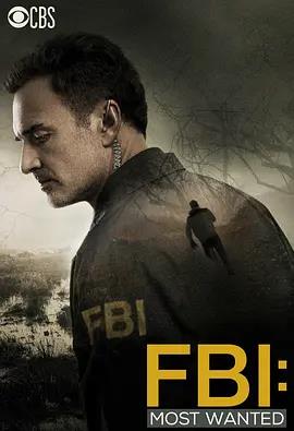 电影:联邦调查局:通缉要犯第一季
