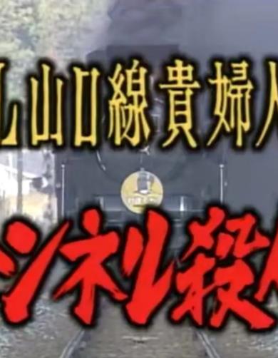 电影:SL山口线贵妇人号隧道杀人