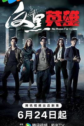 电影：反黑英雄国语