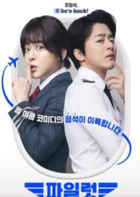 电影：飞行员2024