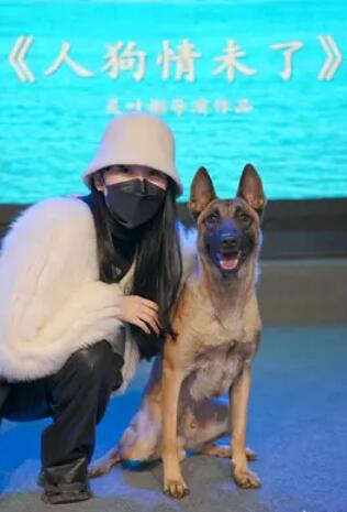电影:人狗情未了1