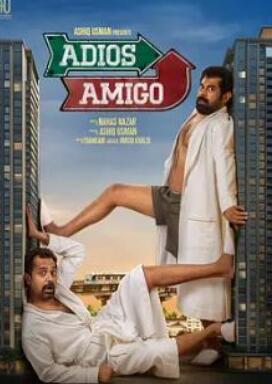 电影:再见,朋友2024