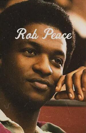 电影：被盗的和平