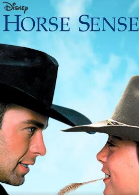 电影：马的感觉