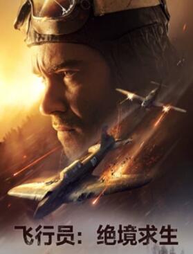 电影：飞行员：绝境求生