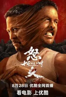 电影：怒火12小时