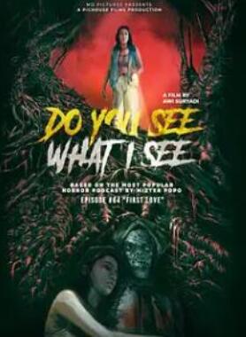 电影:你看到我看到的吗