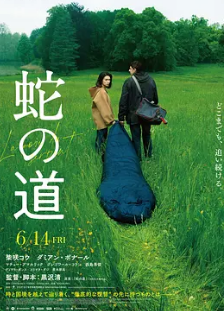 电影：蛇之道2024