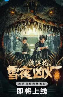 电影:藏海花之雪夜凶灯