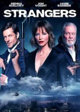 电影：陌生人！2024