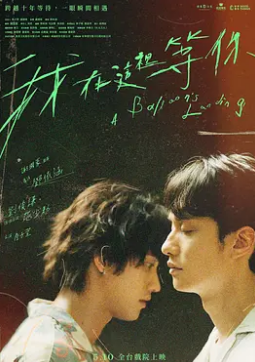 电影：我在这里等你2024