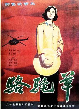 电影：骆驼草