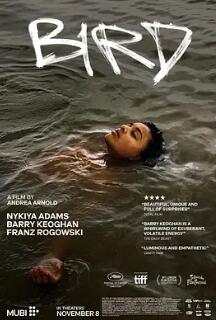 电影:鸟