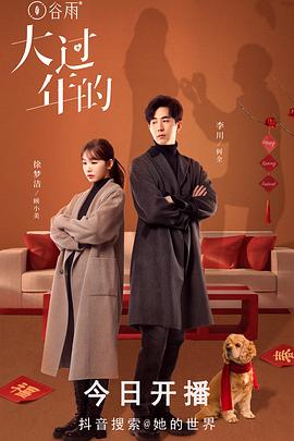 电影：大过年的