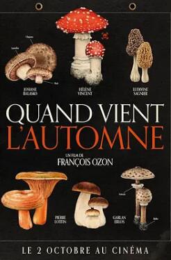 电影：秋日何时来