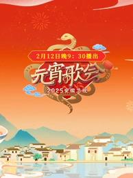 电影:2025安徽元宵晚会