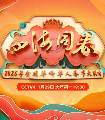 电影:2025全球华侨华人春节大联欢