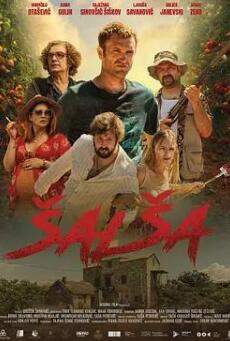 电影：萨尔萨舞