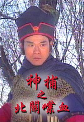 电影:神捕之北关喋血国语