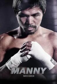电影:曼尼2015