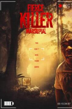 电影:凶残的杀手