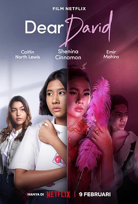 电影:亲爱的大卫