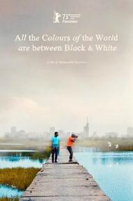 电影:黑白之间是彩色世界