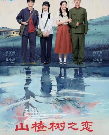 电影:山楂树之恋2025